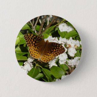 Great Spangled Fritillary on Mountain Laurel Button