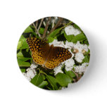 Great Spangled Fritillary on Mountain Laurel Button