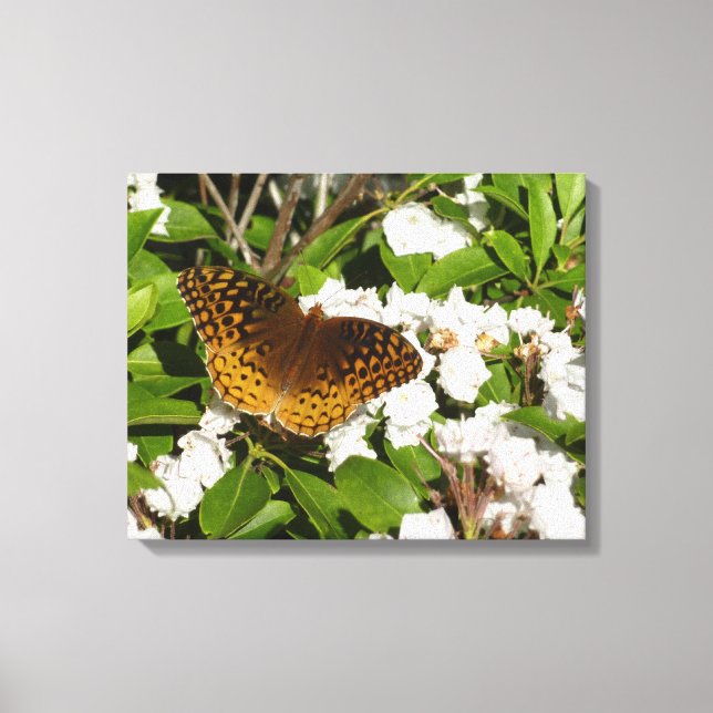 Great Spangled Fritillary on Mountain Laurel Canvas Print (Front)