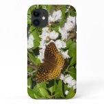 Great Spangled Fritillary on Mountain Laurel iPhone 11 Case