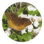 Great Spangled Fritillary on Mountain Laurel Classic Round Sticker