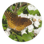 Great Spangled Fritillary on Mountain Laurel Classic Round Sticker