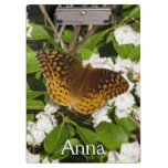 Great Spangled Fritillary on Mountain Laurel Clipboard