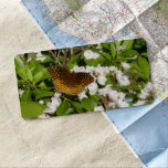 Great Spangled Fritillary on Mountain Laurel License Plate