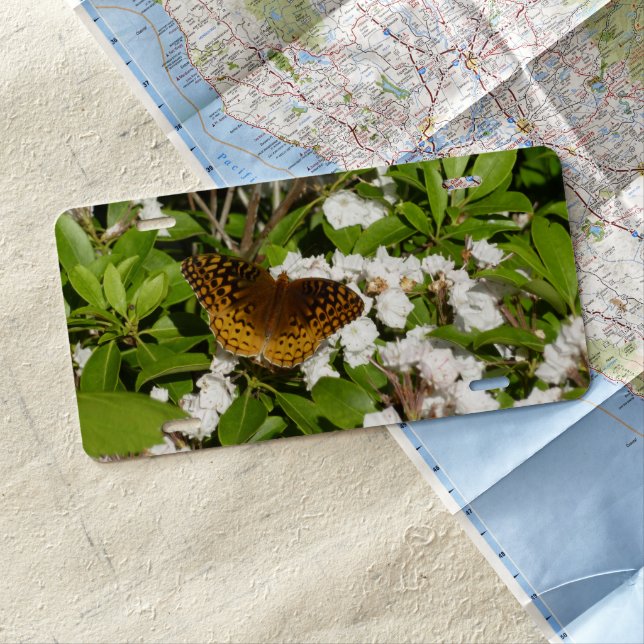 Great Spangled Fritillary on Mountain Laurel License Plate (In Situ)