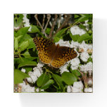 Great Spangled Fritillary on Mountain Laurel Paperweight