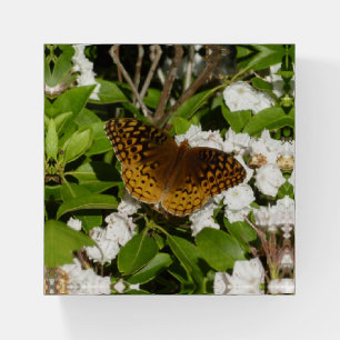 Great Spangled Fritillary on Mountain Laurel Paperweight