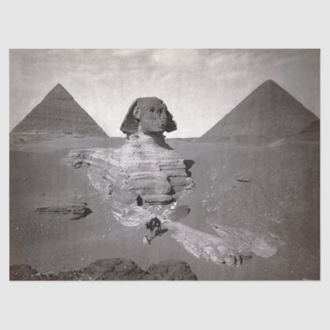 Great Sphinx & Giza Pyramids Necropolis Egypt Tissue Paper (Front)