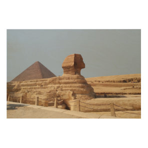 Great Sphinx on the Giza plateau. Egypt, August 20 Wood Wall Art