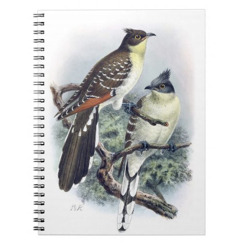 Great Spotted Cuckoo Bird Note Book