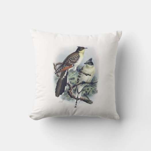 Great Spotted Cuckoo Bird Pillow