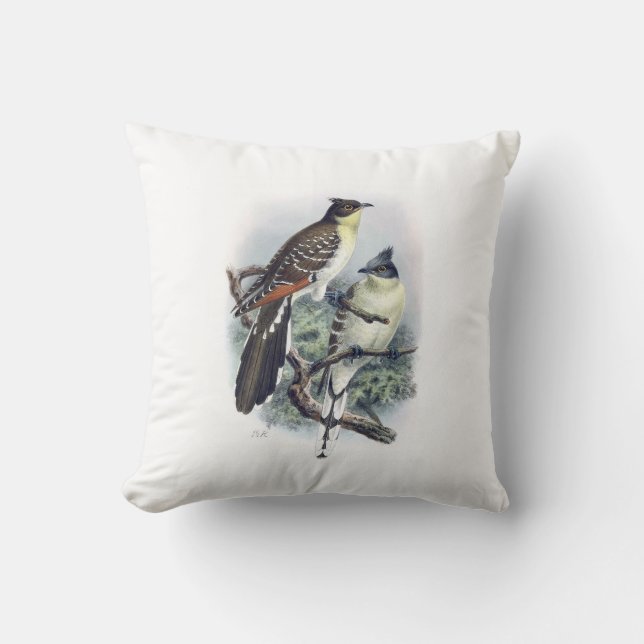 Great Spotted Cuckoo Bird Pillow (Front)