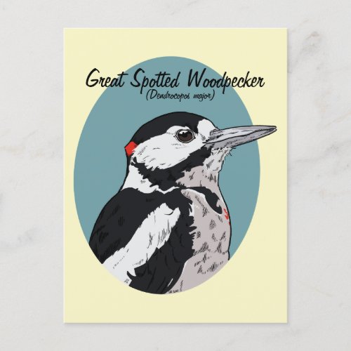 Great Spotted Woodpecker Birds of Europe Postcard