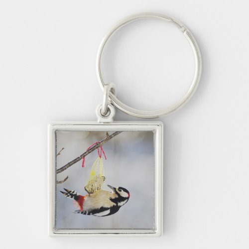 Great Spotted Woodpecker Dendrocopos major Keychain