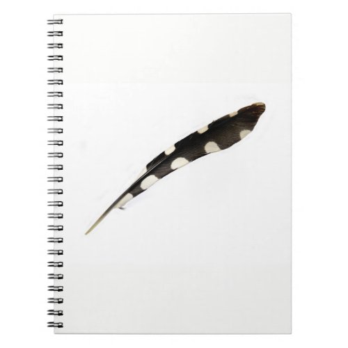 Great Spotted Woodpecker Feather Notepad Notebook