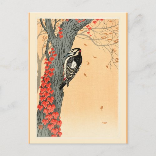 Great Spotted Woodpecker Postcard