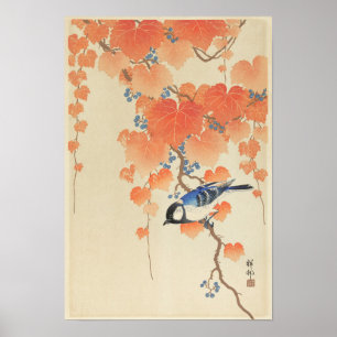 Great Tit on Paulownia Branch by Ohara Koson Poster