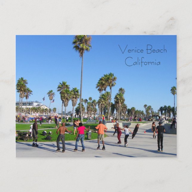 Great Venice Beach Postcard! Postcard (Front)