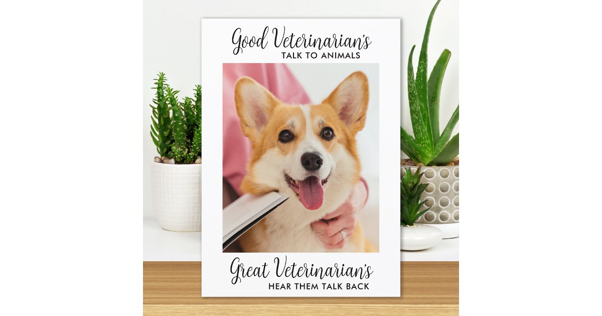 Great Veterinarian Personalized Pet Dog Photo Than Thank You Card | Zazzle