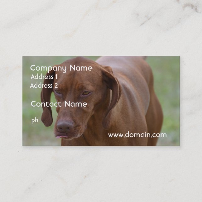Great Vizsla Dog Business Card (Front)