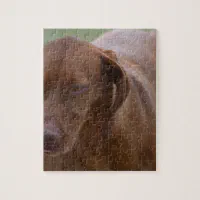 Vizsla puzzle best sale