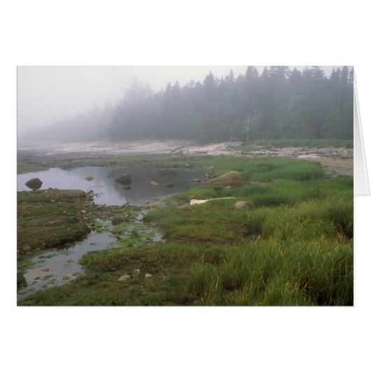 Great Wass Island Maine (Front Horizontal)