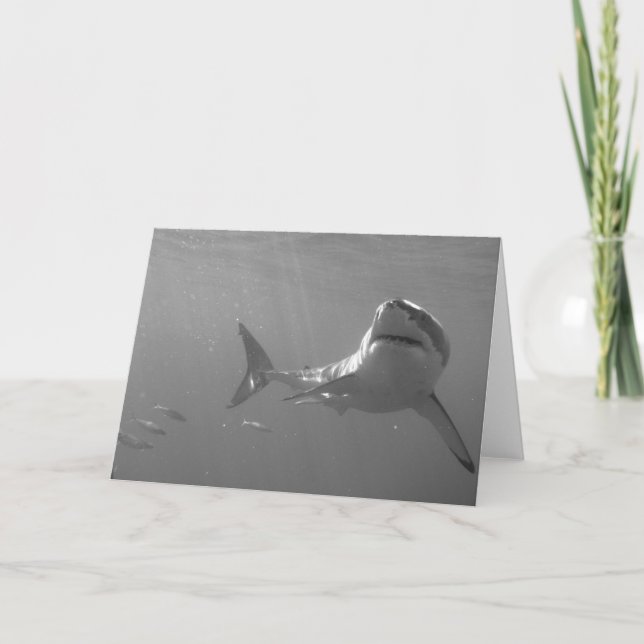 Great White Card (Front)