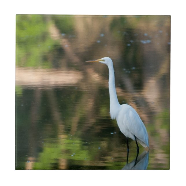 Great White Egret Ceramic Tile (Front)