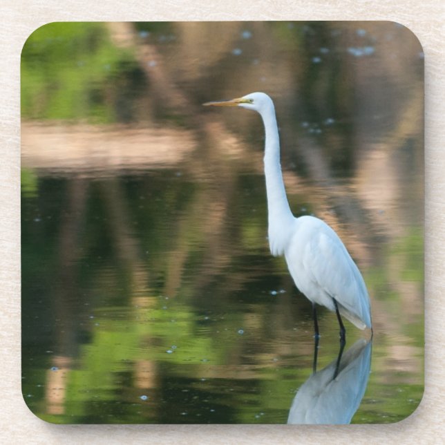 Great White Egret Drink Coaster (Front)