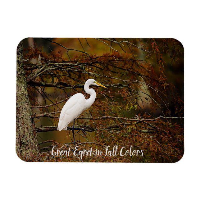 Great White Egret in Fall Colors Flexible Magnet (Horizontal)