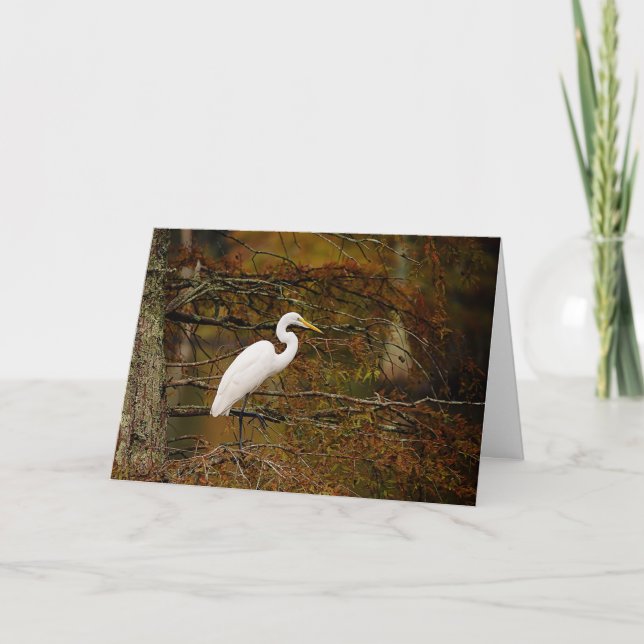 Great White Egret in Fall Colors Greeting Card (Front)