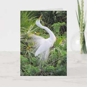 Great White Egret Love Dance Holiday Card