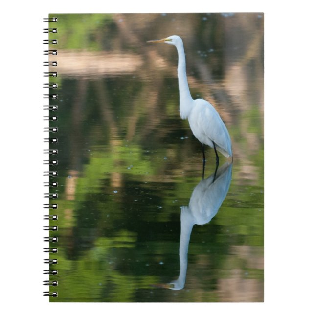 Great White Egret Notebook (Front)
