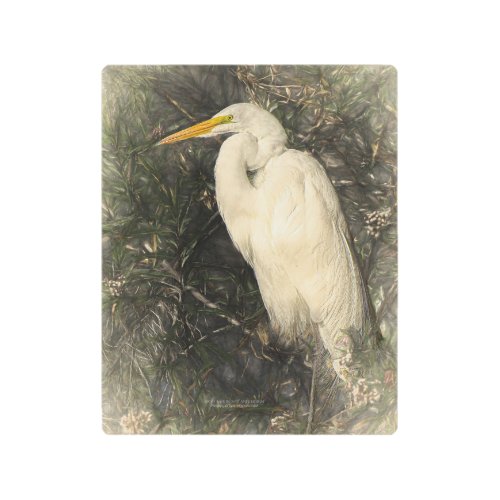 Great White Egret Water Bird Digital Art Painting