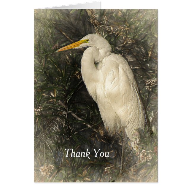Great White Egret Water Bird Digital Art Painting (Front)