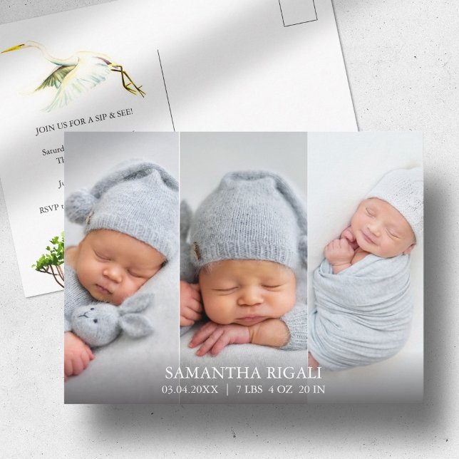 Great White Heron 3 Photo Birth Announcements (Birth announcements cards 3 photo and watercolor white heron and mangroves Victoria Grigaliunas)