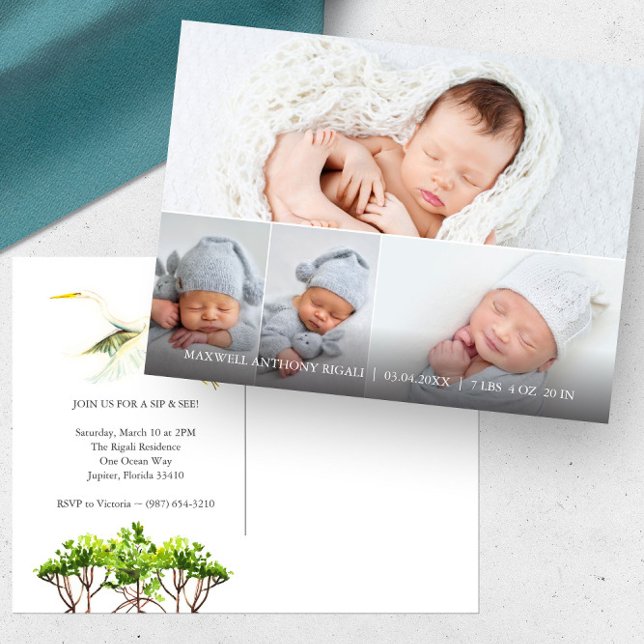 Great White Heron 4 Photo Birth Announcements (4 photo birth announcement sip and see florida mangroves and great white heron art Do Tell A Belle)