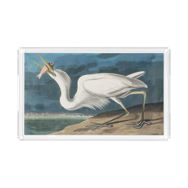 Great White Heron Audubon Bird Wildlife Painting Acrylic Tray (Front)