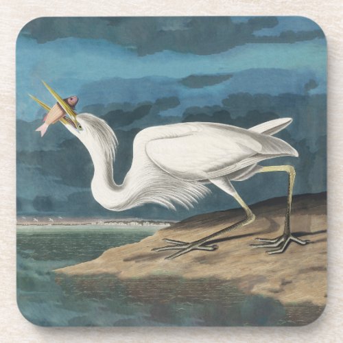 Great White Heron Audubon Bird Wildlife Painting Beverage Coaster
