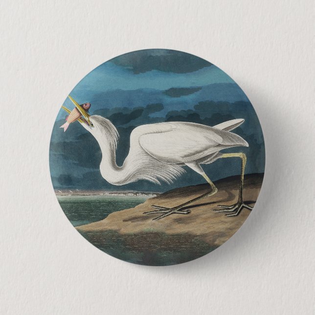 Great White Heron Audubon Bird Wildlife Painting Button (Front)