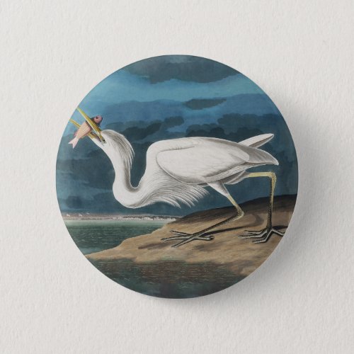Great White Heron Audubon Bird Wildlife Painting Button