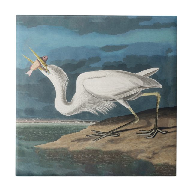 Great White Heron Audubon Bird Wildlife Painting Ceramic Tile (Front)