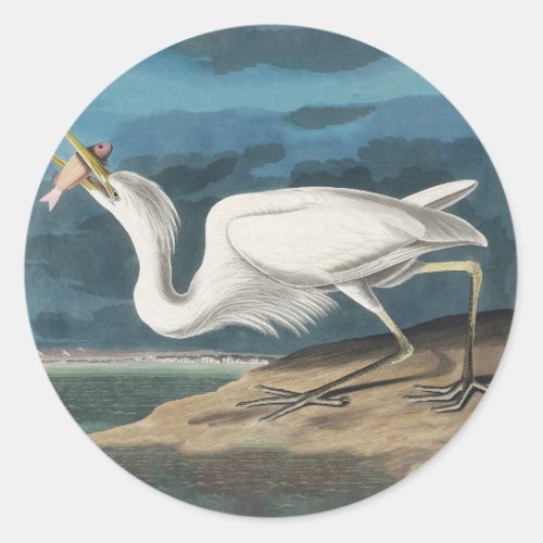 Great White Heron Audubon Bird Wildlife Painting Classic Round Sticker