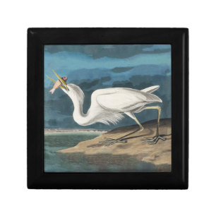 Great White Heron Audubon Bird Wildlife Painting Gift Box