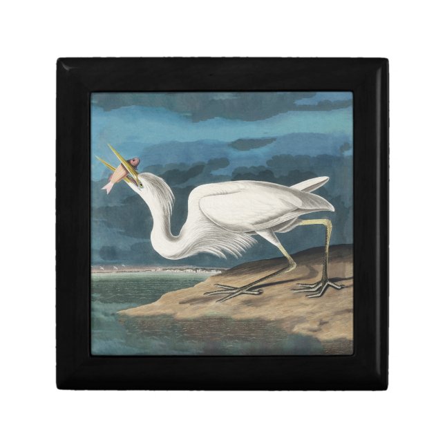 Great White Heron Audubon Bird Wildlife Painting Gift Box (Front)