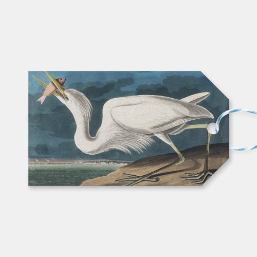 Great White Heron Audubon Bird Wildlife Painting Gift Tags