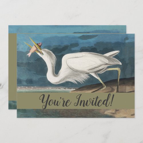 Great White Heron Audubon Bird Wildlife Painting Invitation