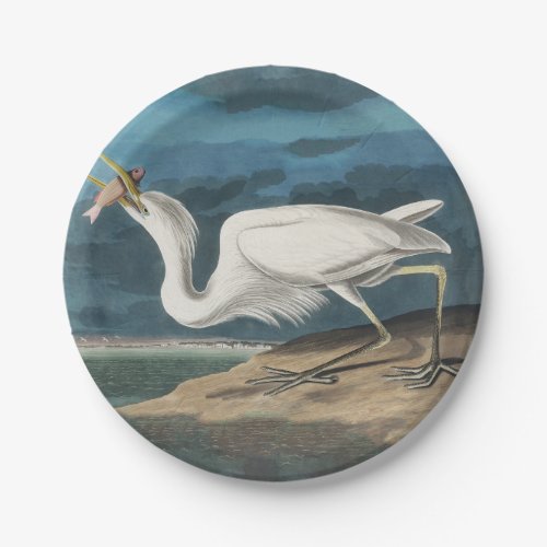 Great White Heron Audubon Bird Wildlife Painting Paper Plates