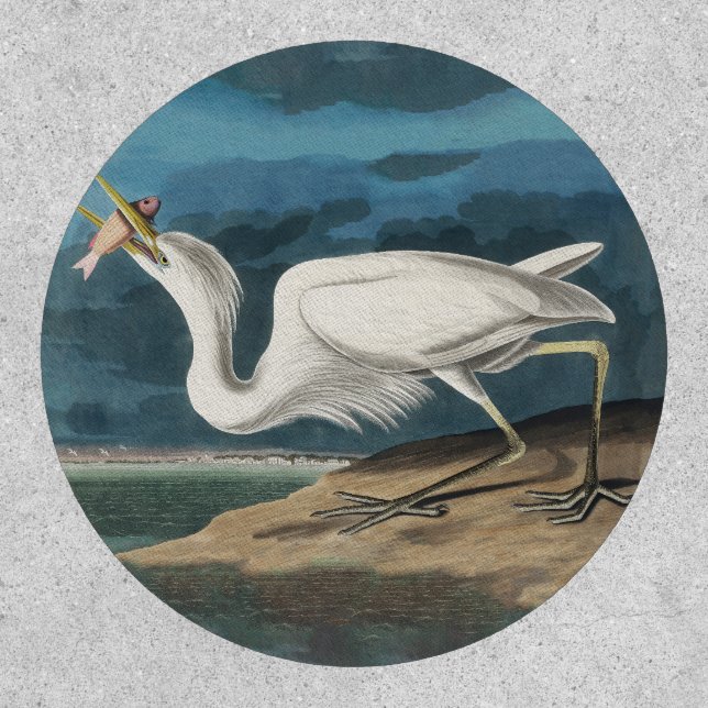 Great White Heron Audubon Bird Wildlife Painting Patch (Front)