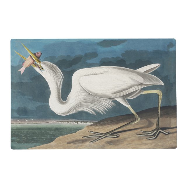 Great White Heron Audubon Bird Wildlife Painting Placemat (Front)